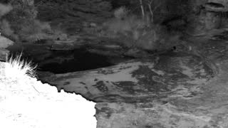 Still 3 from this detection