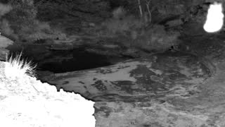 Still 2 from this detection