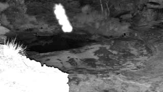 Still 3 from this detection
