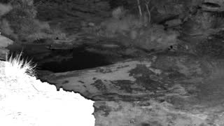 Still 2 from this detection