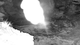 Still 1 from this detection