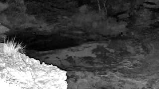 Still 2 from this detection