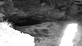 Still 1 from this detection