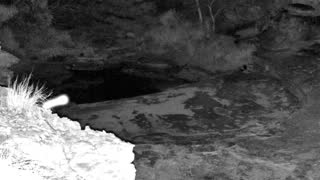 Still 2 from this detection