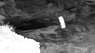Still 1 from this detection