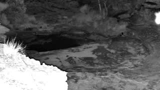 Still 2 from this detection