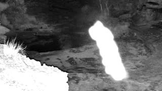 Still 3 from this detection