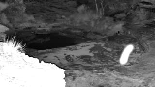 Still 2 from this detection