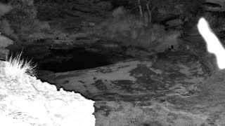 Still 3 from this detection