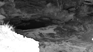 Still 2 from this detection