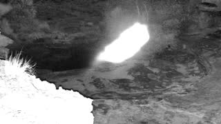 Still 1 from this detection