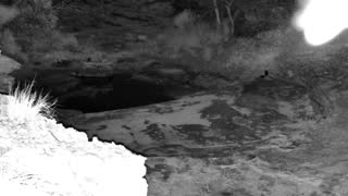 Still 3 from this detection