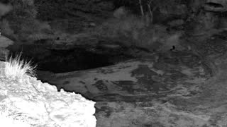 Still 2 from this detection