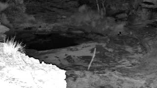 Still 3 from this detection