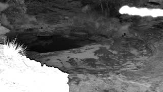 Still 3 from this detection