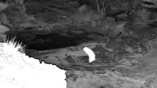 Still 1 from this detection