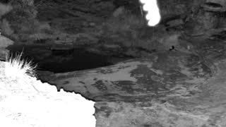Still 1 from this detection