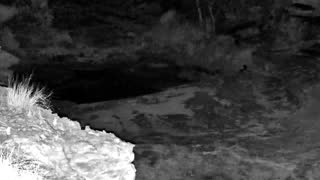 Still 1 from this detection