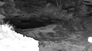 Still 2 from this detection