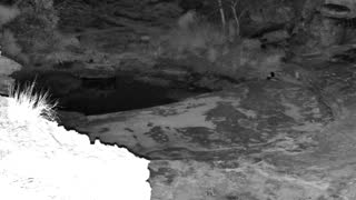 Still 2 from this detection