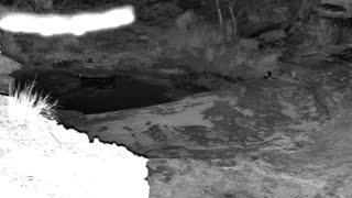 Still 1 from this detection