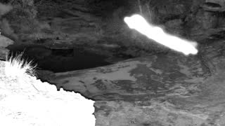 Still 1 from this detection