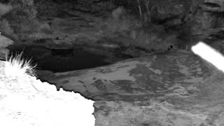 Still 1 from this detection