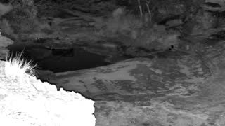 Still 1 from this detection