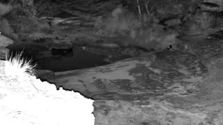 Still 2 from this detection