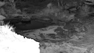 Still 2 from this detection