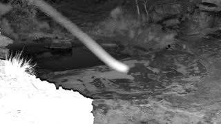 Still 1 from this detection