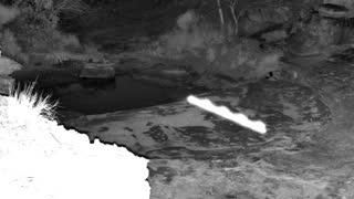 Still 1 from this detection