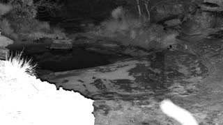 Still 1 from this detection
