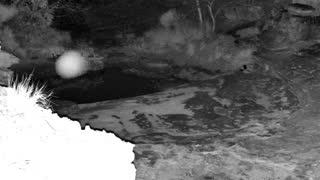 Still 1 from this detection