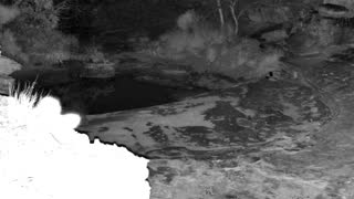 Still 1 from this detection