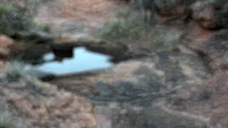 Still 3 from this detection