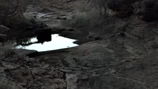 Still 1 from this detection