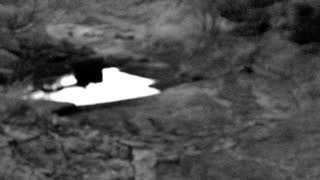 Still 2 from this detection