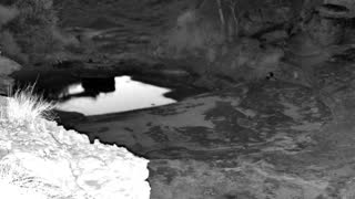 Still 1 from this detection