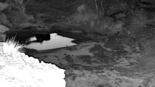 Still 3 from this detection