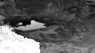Still 1 from this detection