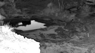 Still 2 from this detection