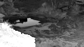 Still 1 from this detection