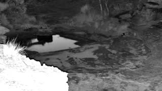 Still 3 from this detection