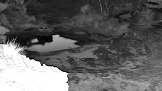 Still 1 from this detection