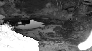 Still 3 from this detection