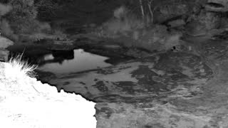 Still 1 from this detection