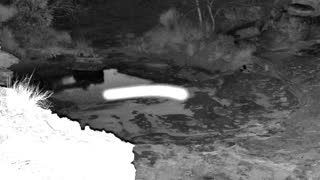 Still 2 from this detection