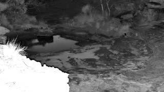 Still 1 from this detection