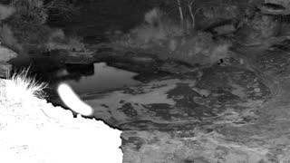 Still 2 from this detection